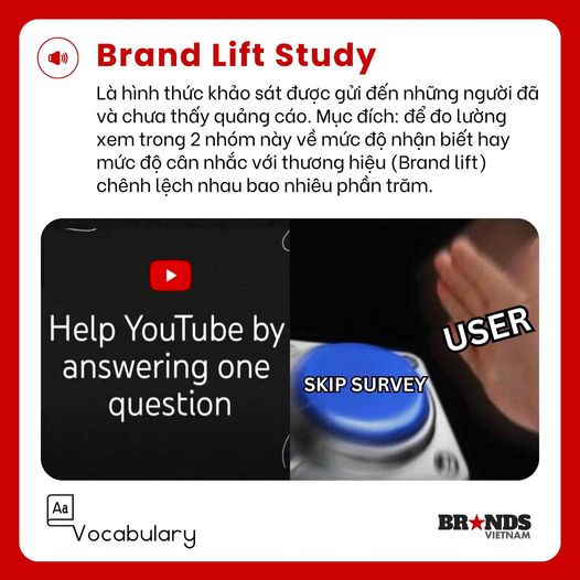 VOCABULARY: BRAND LIFT STUDY