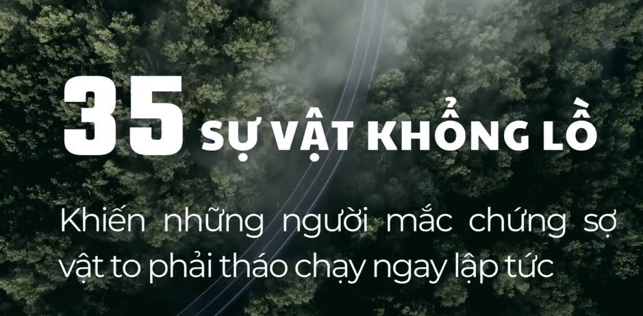     33 SỰ VẬT KHỔNG  LỒ  KHIẾN NHIỀU NGƯỞI SỢ HÃI