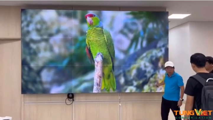 CẬN CẢNH MÀN HÌNH GHÉP KHÔNG VIỀN DÀNH CHO SẾP KHÓ TÍNH