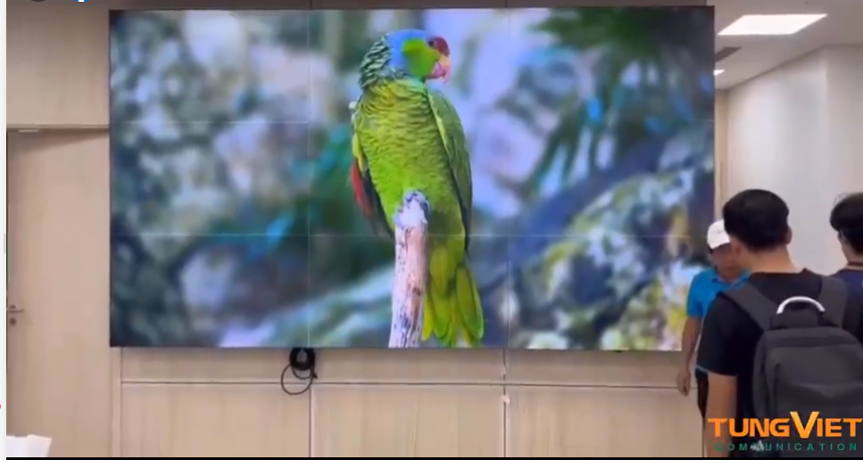 CẬN CẢNH MÀN HÌNH GHÉP KHÔNG VIỀN DÀNH CHO SẾP KHÓ TÍNH